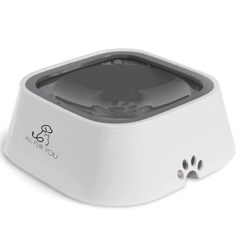 Anti Splash Pet Bowl Grey