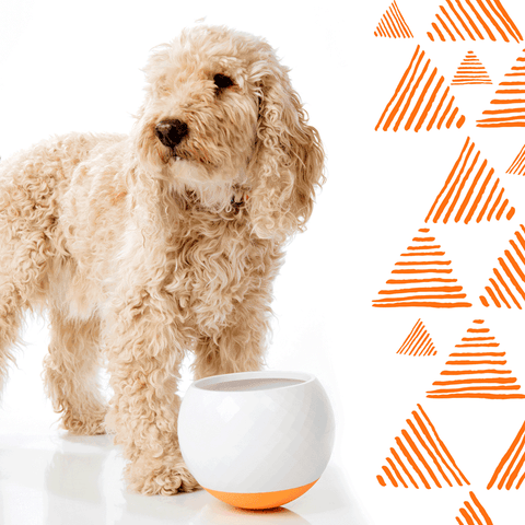 Wobbler Slow Feeder Pet Bowl Orange