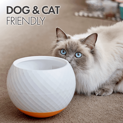 Wobbler Slow Feeder Pet Bowl Orange