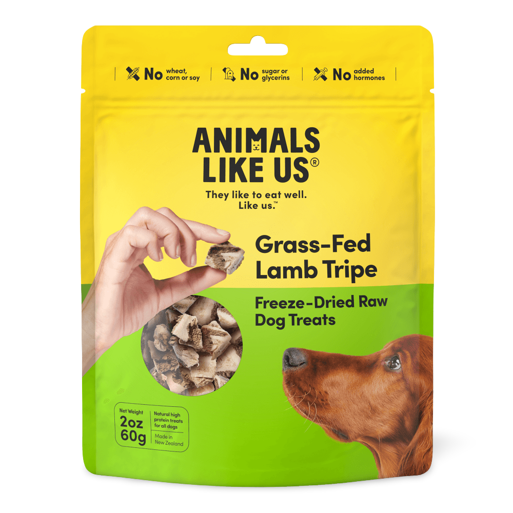 Grass Fed Lamb Tripe Freeze Dried Raw Dog Treats