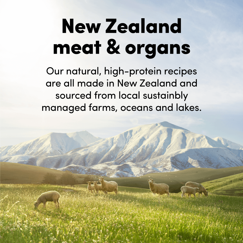 Raw Mix 33 Freeze Dried Grass Fed Lamb Dry Dog Food