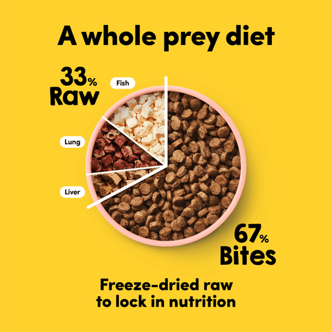 Raw Mix 33 Freeze Dried Ocean Fish Dry Dog Food