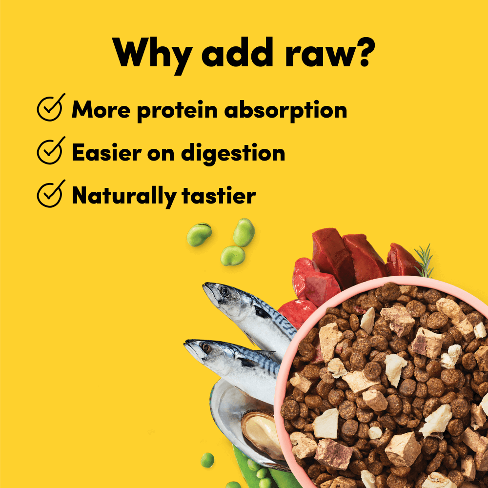 Raw Mix 33 Freeze Dried Ocean Fish Dry Dog Food