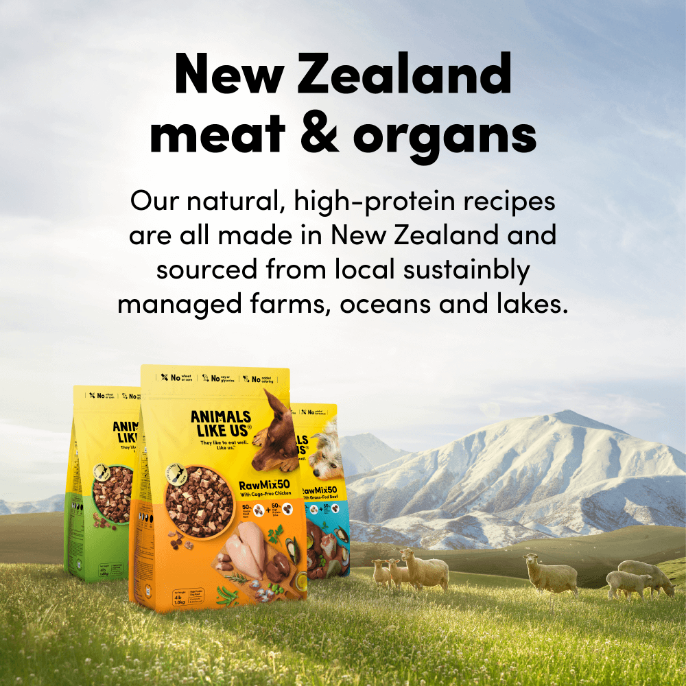 Raw Mix 50 Freeze Dried Grass Fed Lamb Dry Dog Food