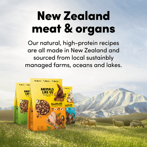 Raw Mix 50 Freeze Dried Grass Fed Lamb Dry Dog Food