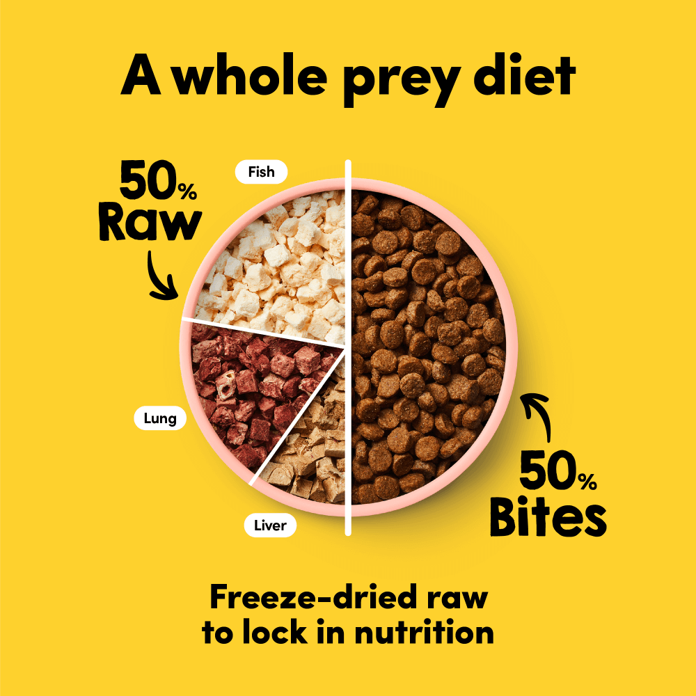 Raw Mix 50 Freeze Dried Ocean Fish Dry Dog Food