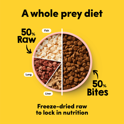 Raw Mix 50 Freeze Dried Ocean Fish Dry Dog Food