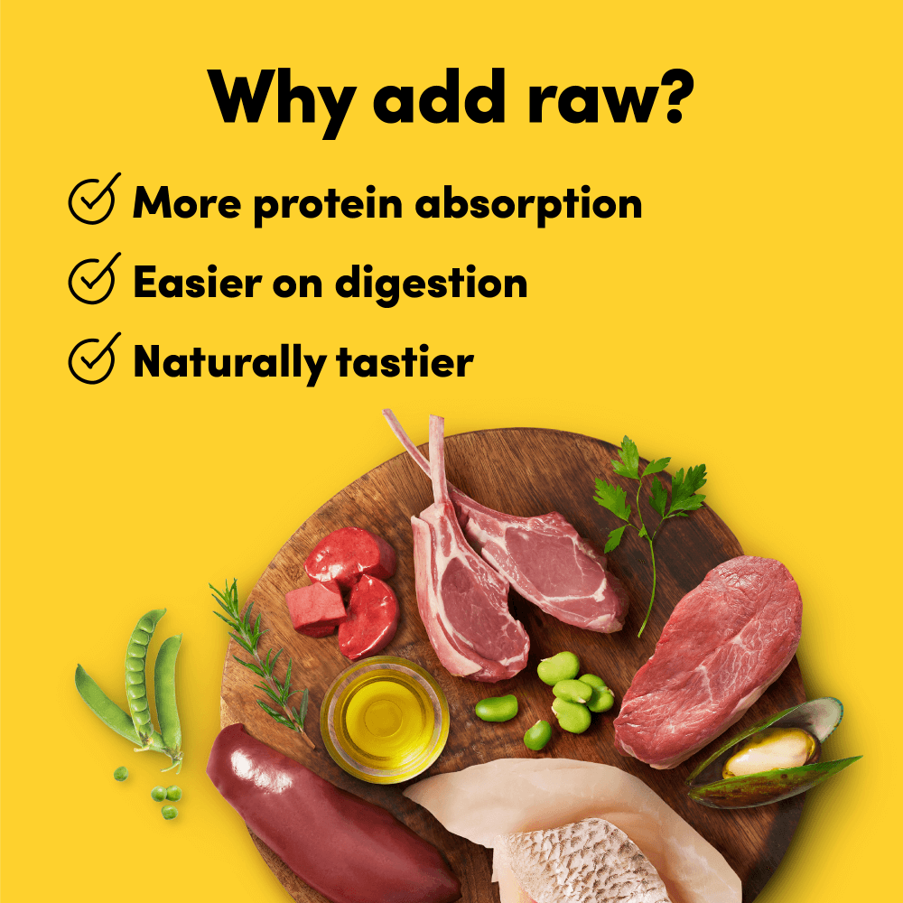 Raw Mix 50 Freeze Dried Ocean Fish Dry Dog Food