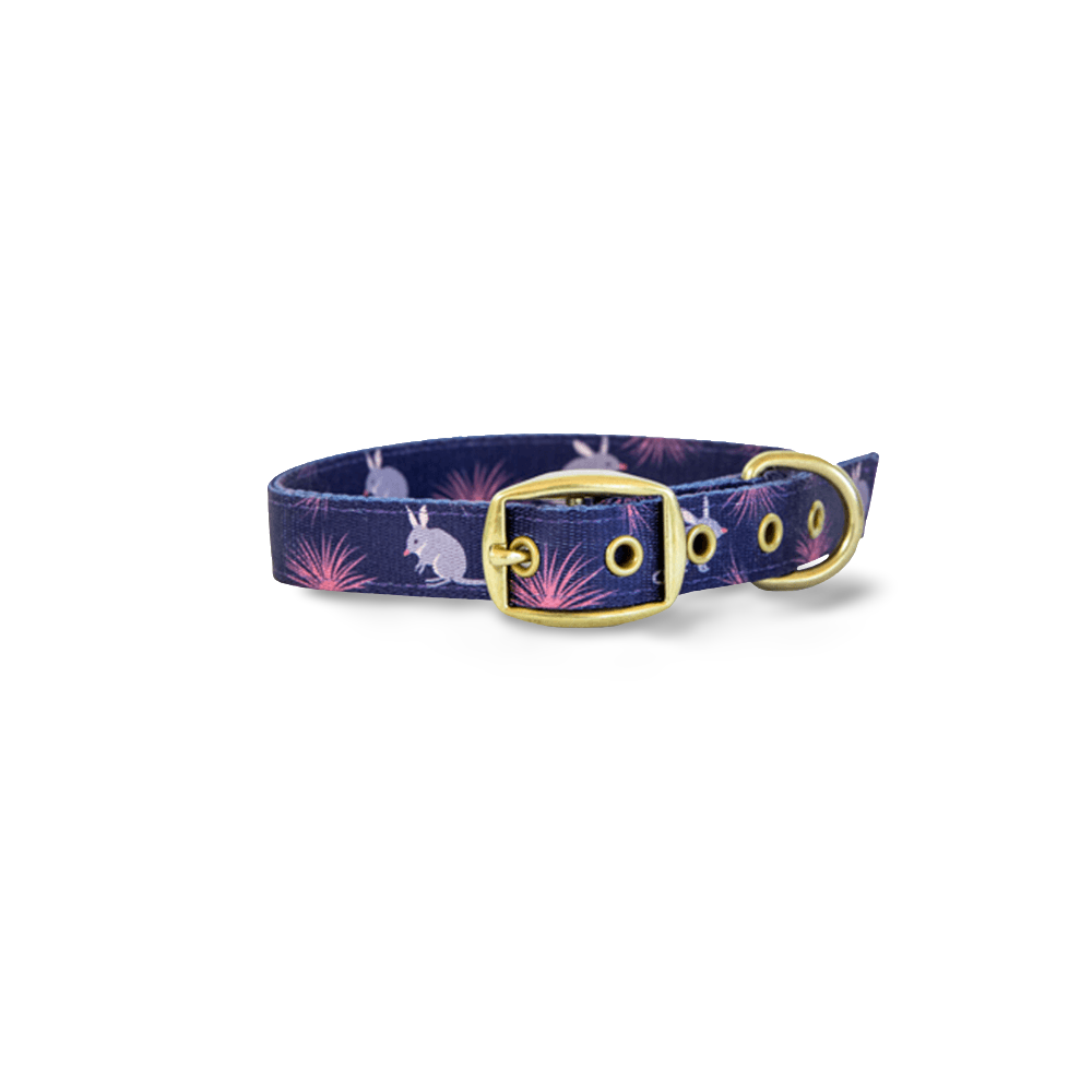 Billie The Bilby Dog Collar