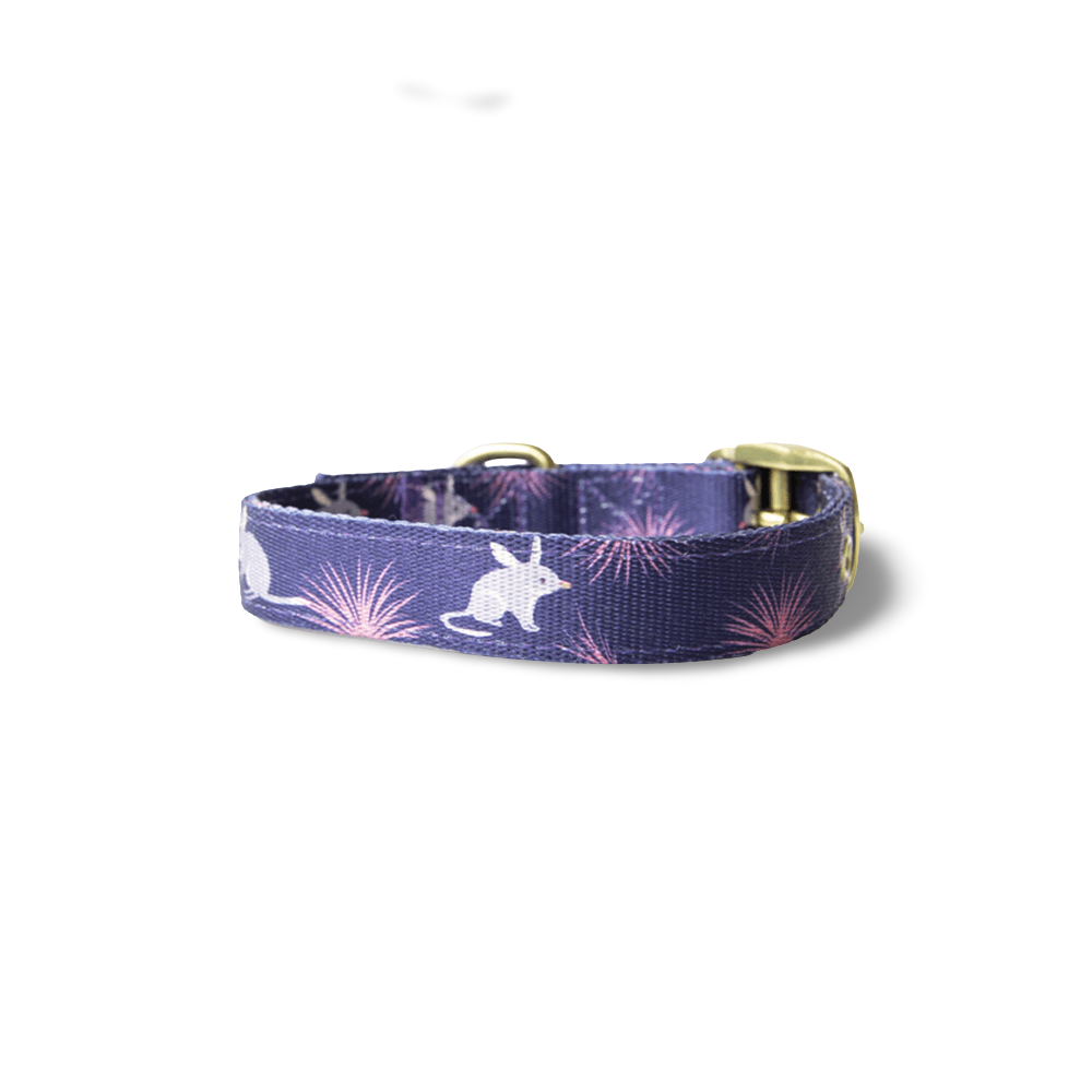 Billie The Bilby Dog Collar