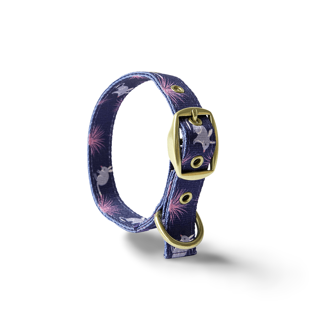 Billie The Bilby Dog Collar