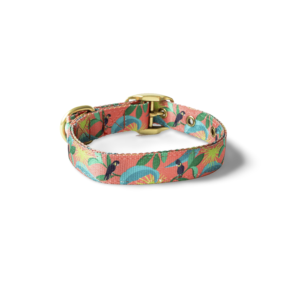 Clancy The Black Cockatoo Dog Collar