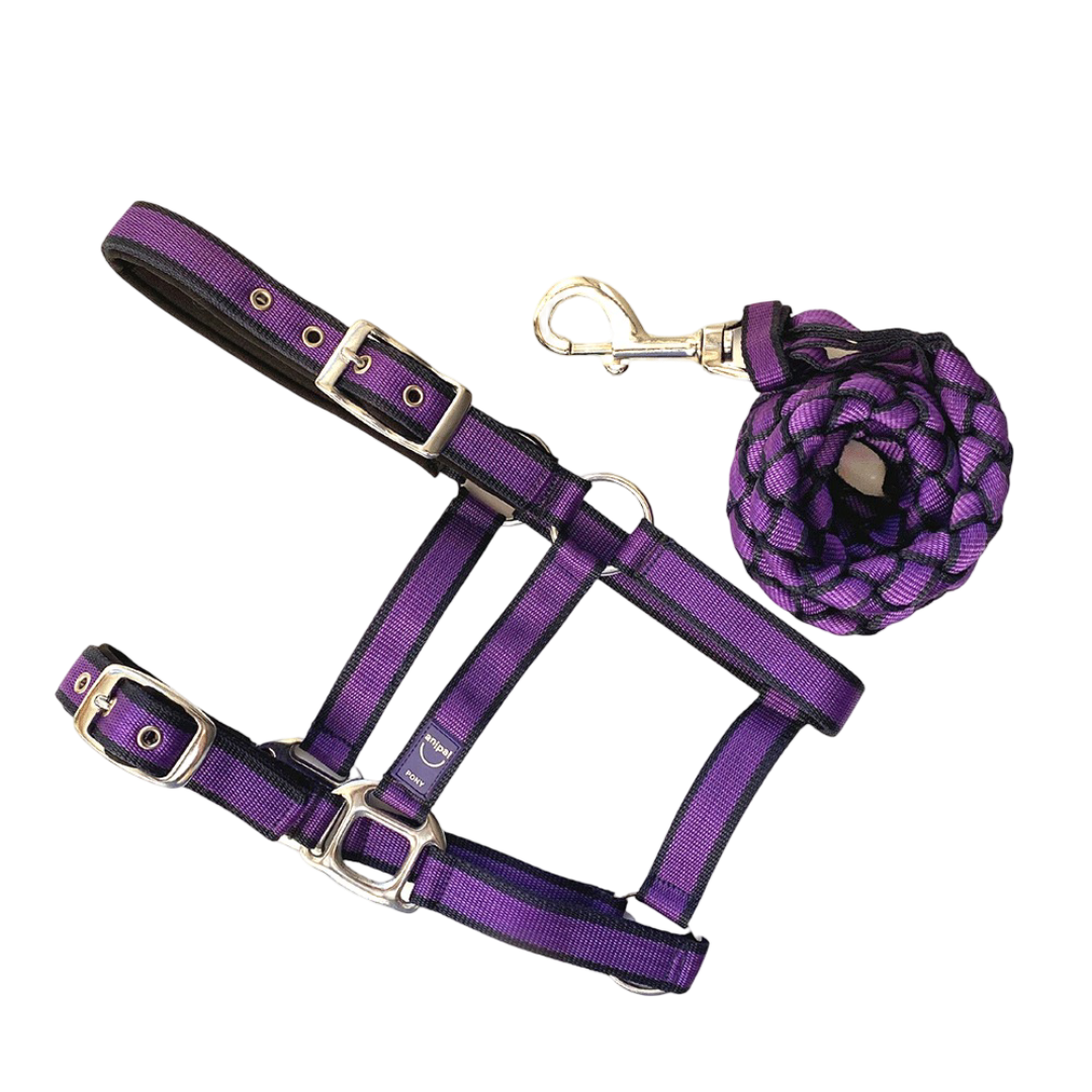 Anipal Comfort Horse Halter And Lead Autumn Lilac