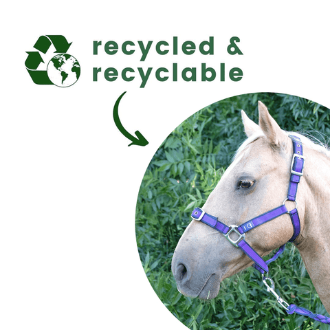 Anipal Comfort Horse Halter And Lead Autumn Lilac