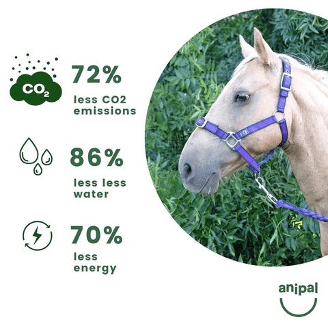 Anipal Comfort Horse Halter And Lead Autumn Lilac