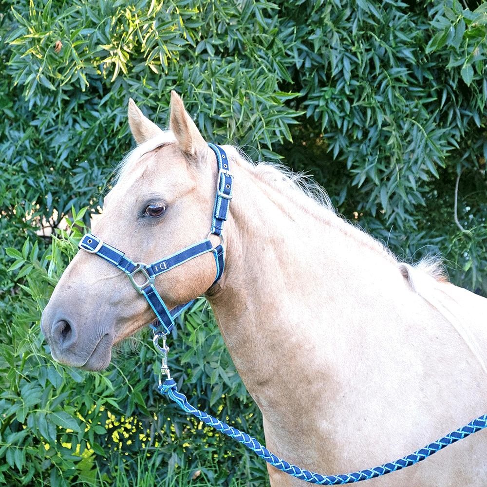 Anipal Comfort Horse Halter And Lead Pacific Ocean