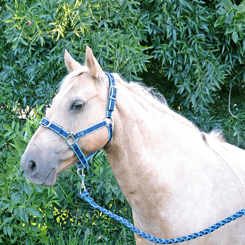 Anipal Comfort Horse Halter And Lead Pacific Ocean