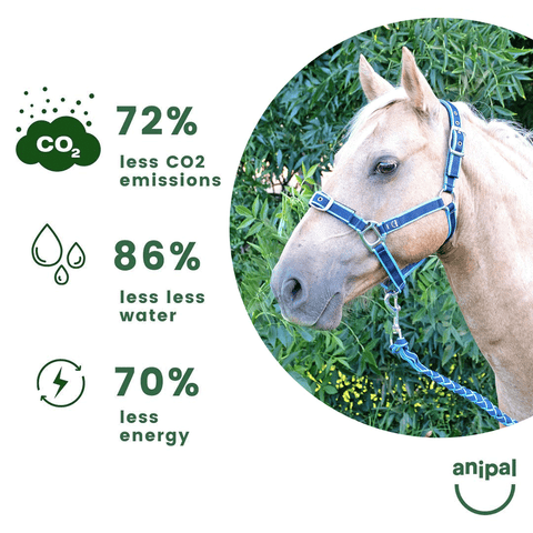 Anipal Comfort Horse Halter And Lead Pacific Ocean