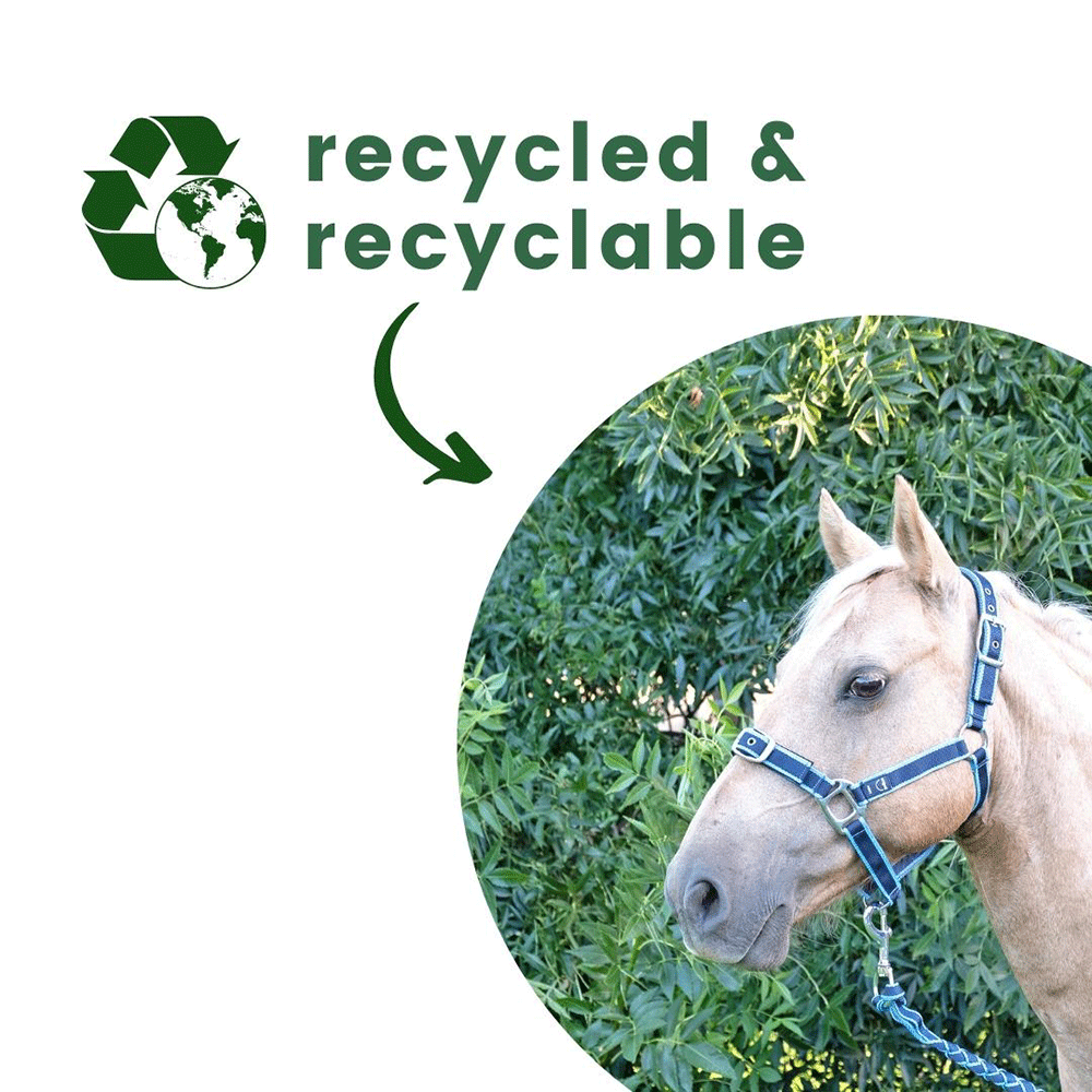 Anipal Comfort Horse Halter And Lead Pacific Ocean