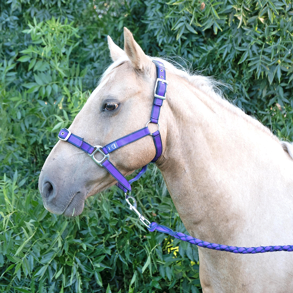 Anipal Comfort Horse Halter And Lead Autumn Lilac
