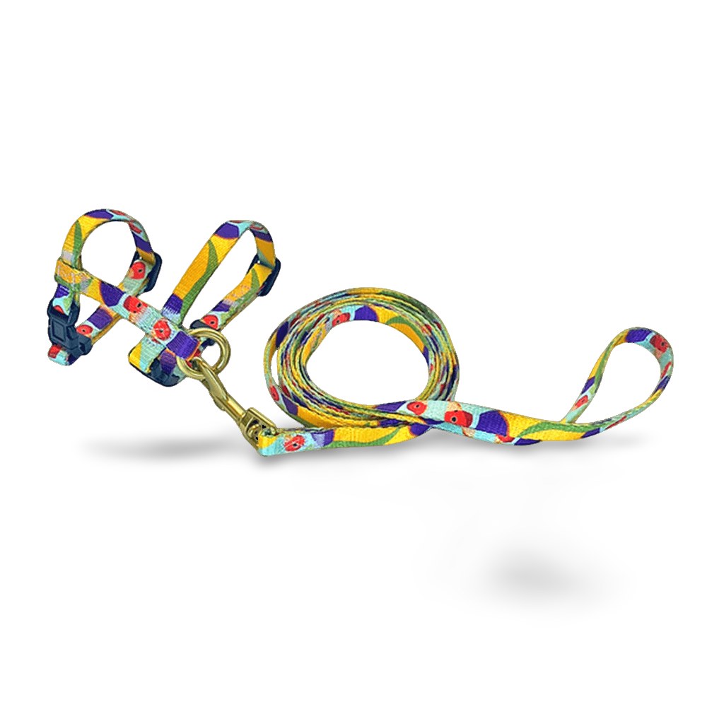 Gigi The Gouldian Finch Cat Harness & Lead Set