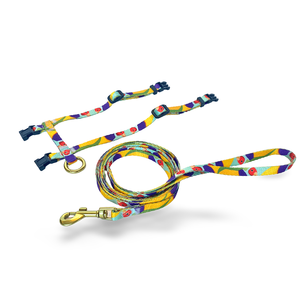 Gigi The Gouldian Finch Cat Harness & Lead Set