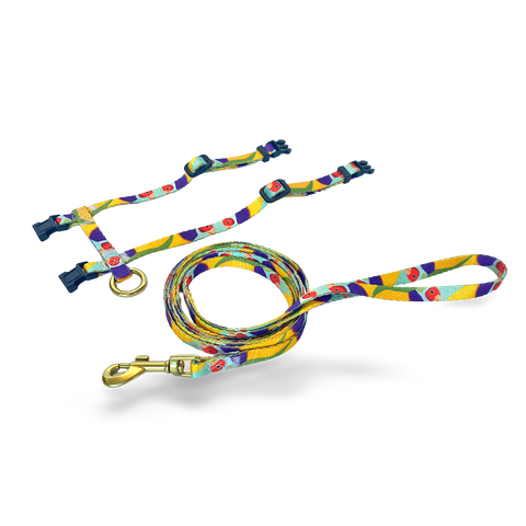 Gigi The Gouldian Finch Cat Harness & Lead Set