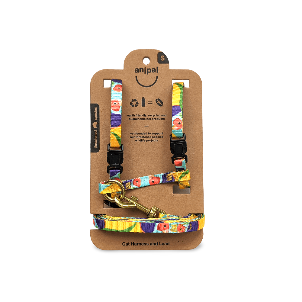 Gigi The Gouldian Finch Cat Harness & Lead Set