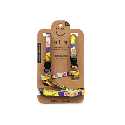 Gigi The Gouldian Finch Cat Harness & Lead Set