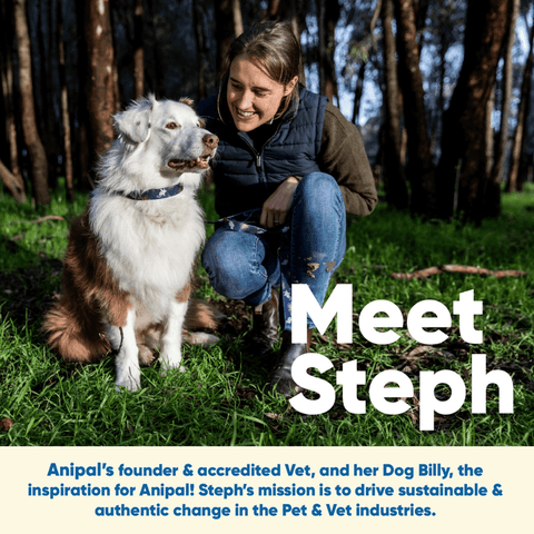 Gigi The Gouldian Finch Cat Harness & Lead Set