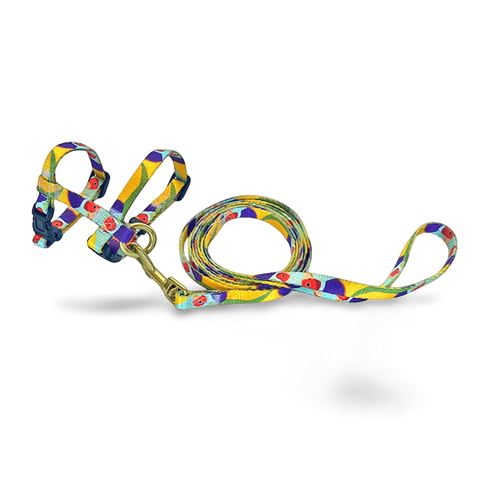 Gigi The Gouldian Finch Cat Harness & Lead Set
