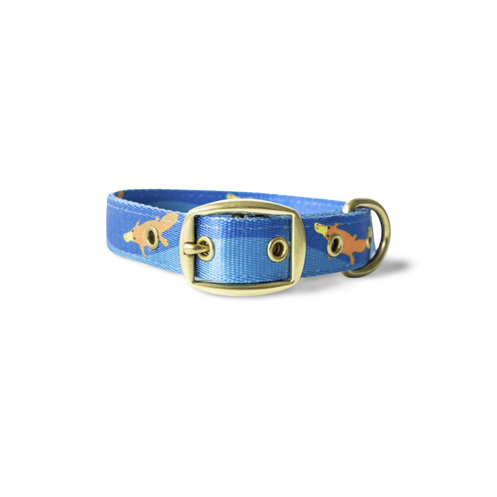 Piper The Platypus Dog Collar