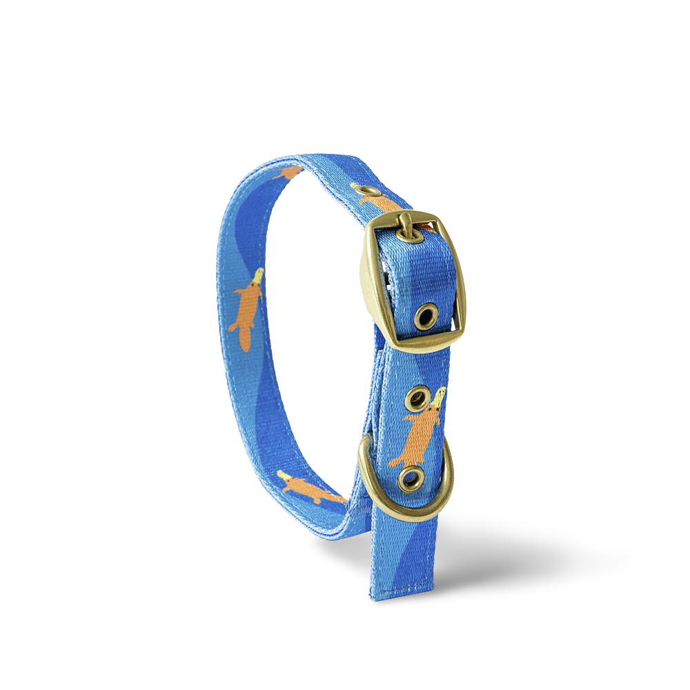 Piper The Platypus Dog Collar