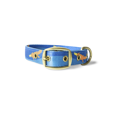 Piper The Platypus Dog Collar