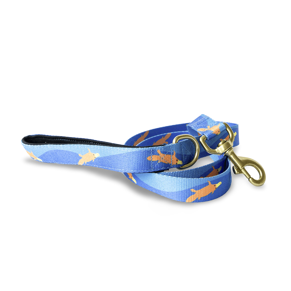 Piper The Platypus Dog Leash