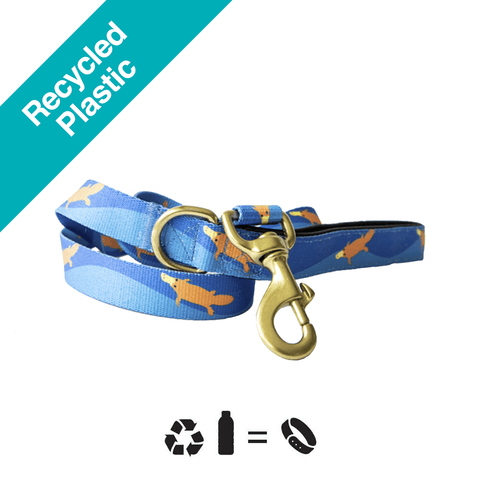 Piper The Platypus Dog Leash