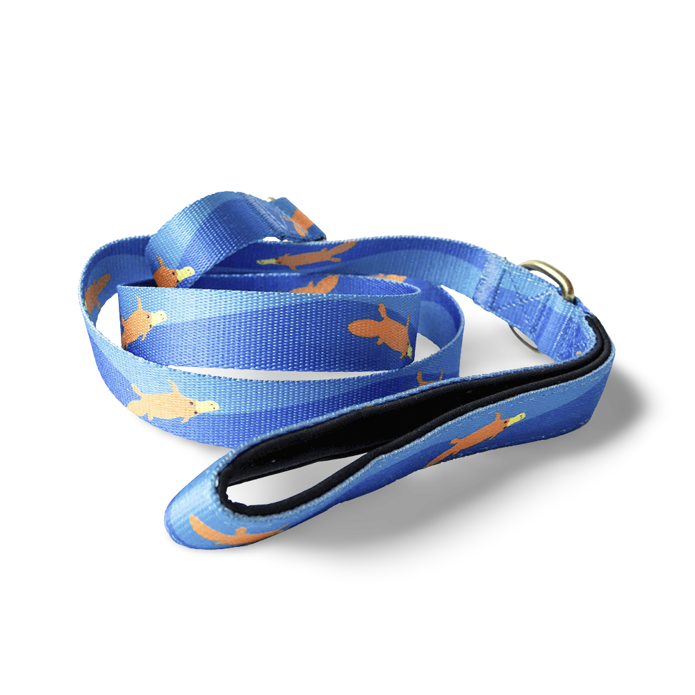 Piper The Platypus Dog Leash