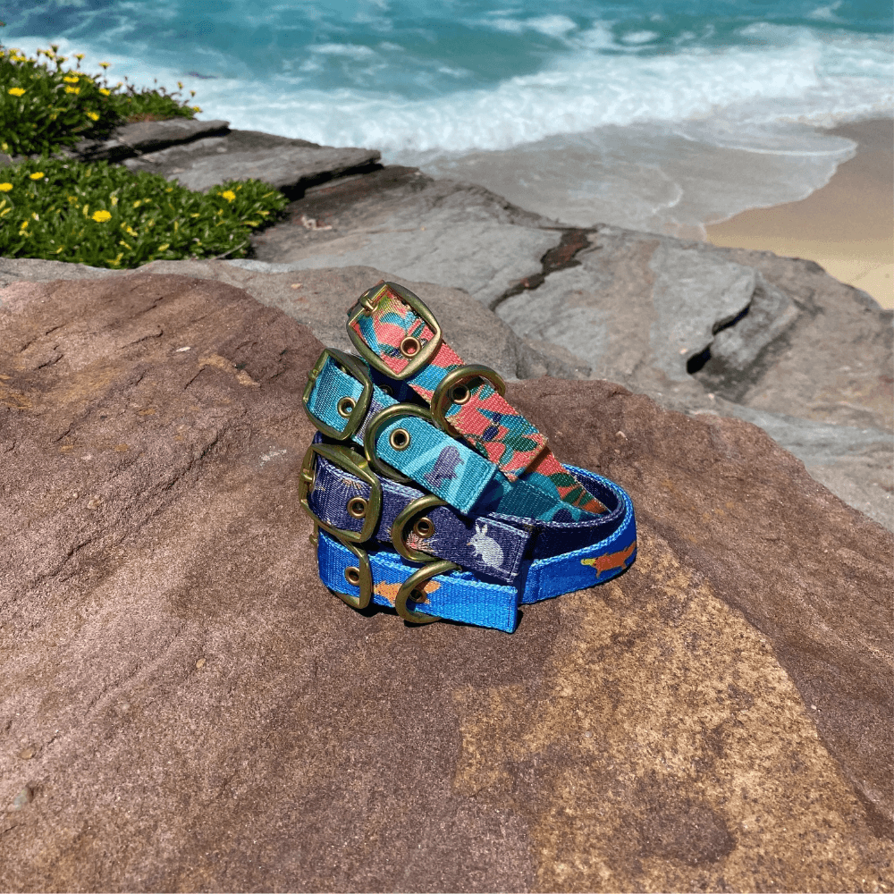 Piper The Platypus Dog Leash