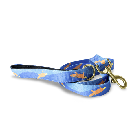 Piper The Platypus Dog Leash