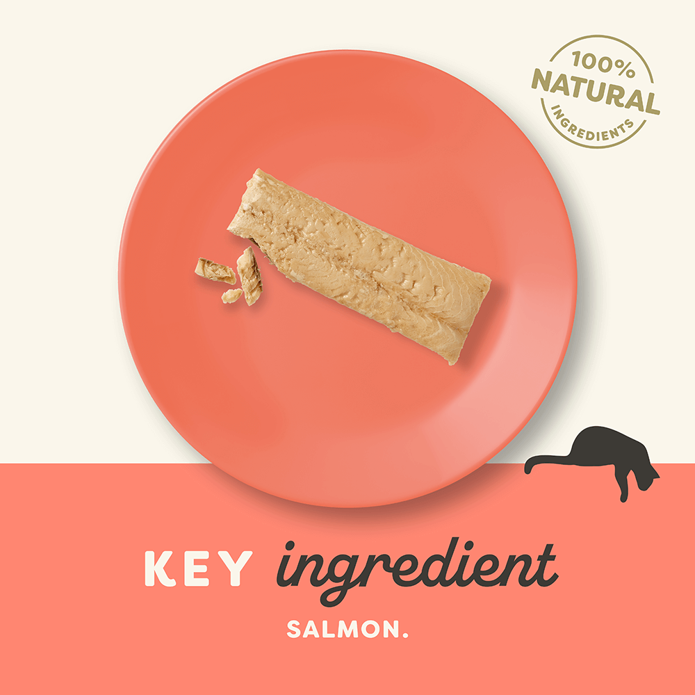 Cat Loin Salmon Treat