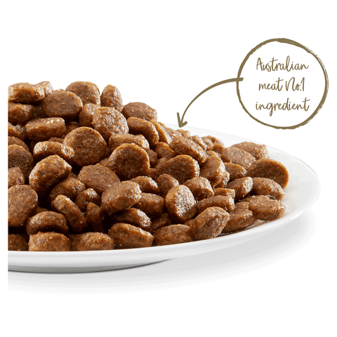 Chicken & Turkey Grain Free Adult Dry Dog Food