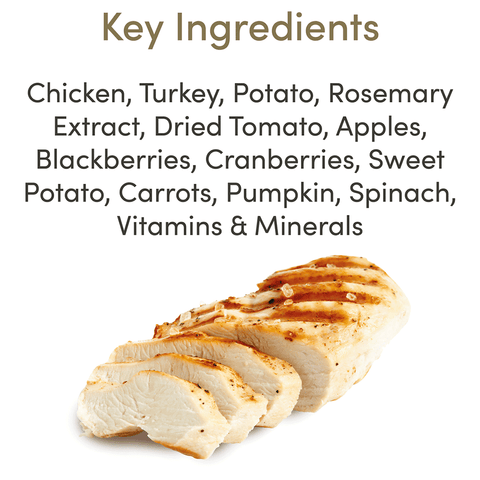 Chicken & Turkey Grain Free Adult Dry Dog Food