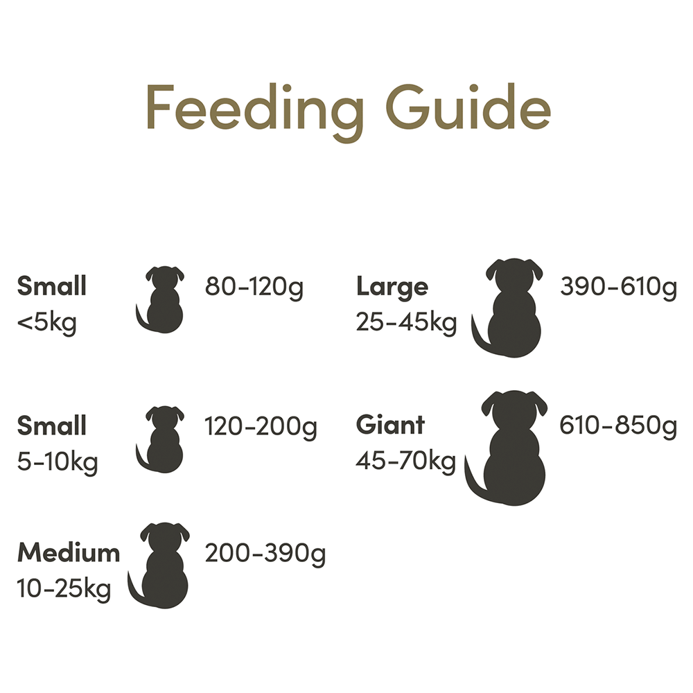 Chicken & Turkey Grain Free Adult Dry Dog Food