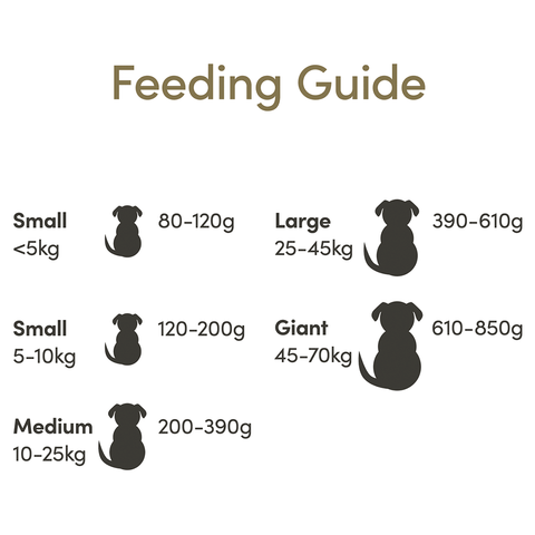 Chicken & Turkey Grain Free Adult Dry Dog Food