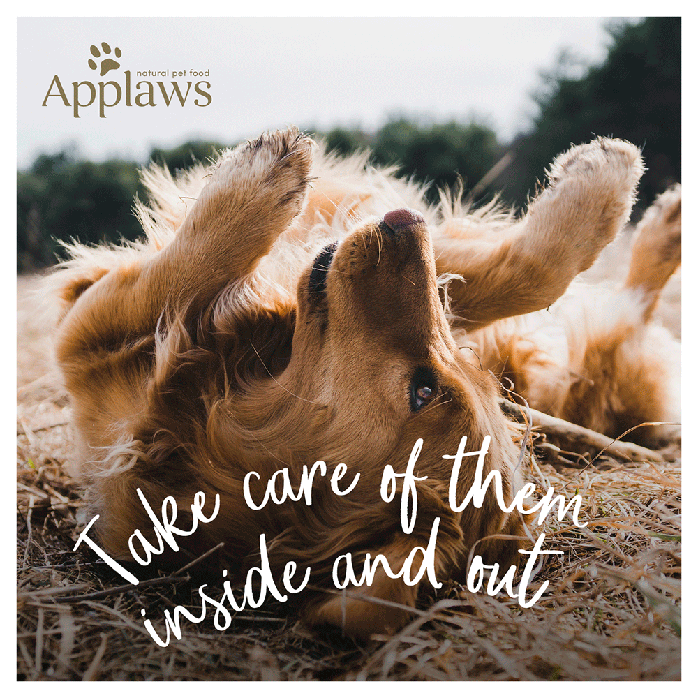 Chicken & Turkey Grain Free Adult Dry Dog Food