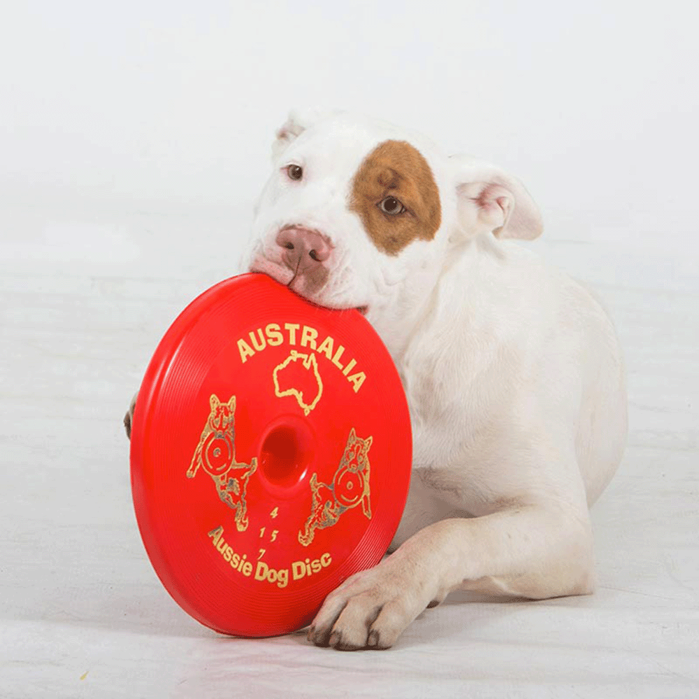 Disc Red