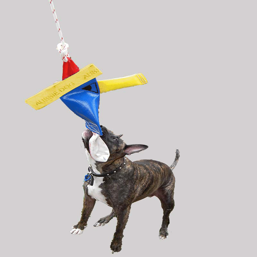Heavy Duty Bungee Chook