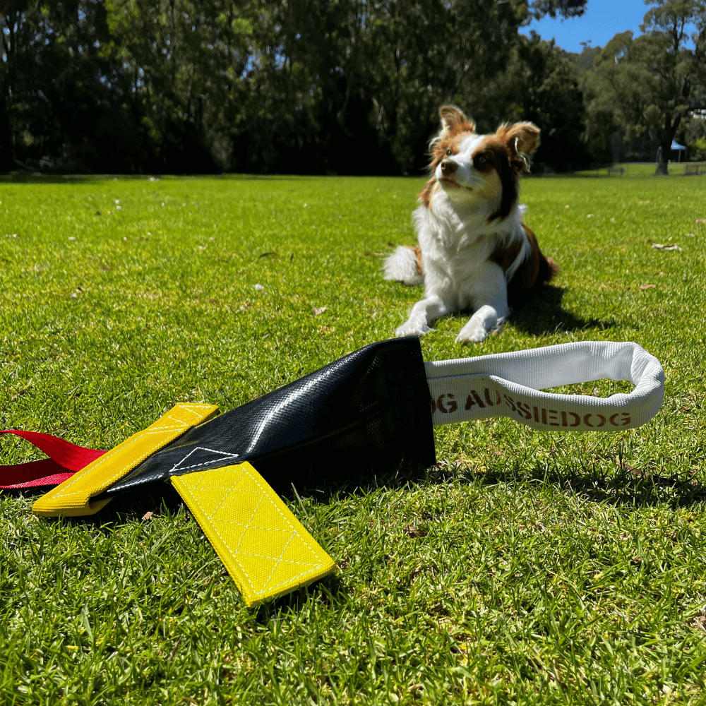 Heavy Duty Bungee Chook