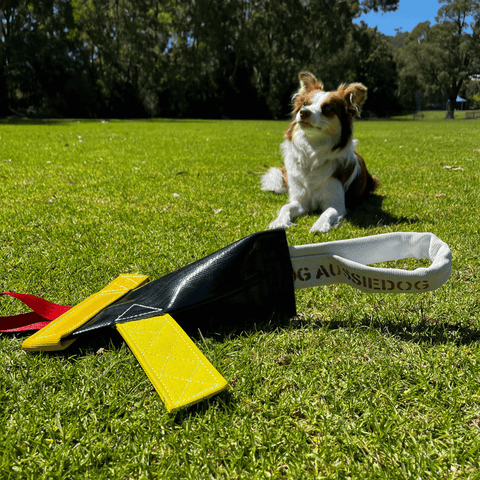 Heavy Duty Bungee Chook