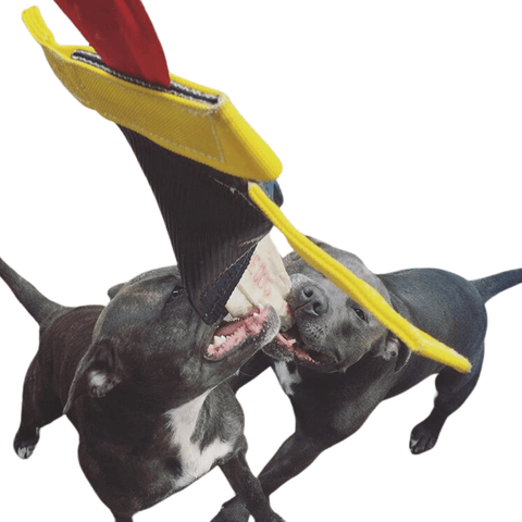 Heavy Duty Bungee Chook